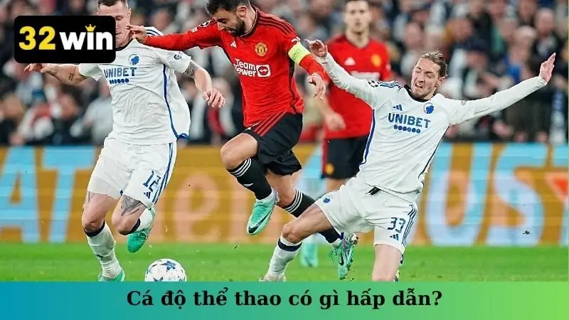 Cá độ thể thao có gì hấp dẫn?