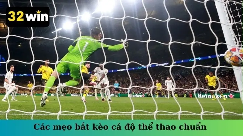 Các mẹo bắt kèo cá độ thể thao chuẩn