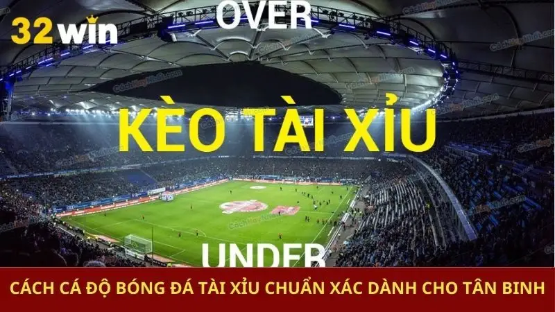 cách cá độ bóng đá tài xỉu