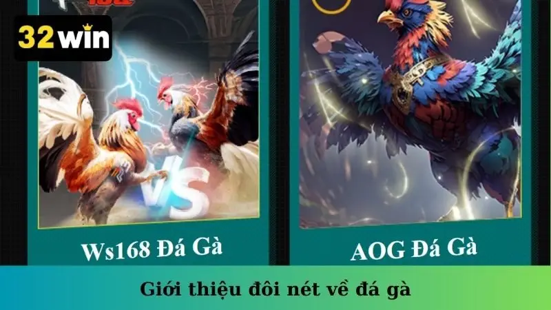 Giới thiệu đôi nét về đá gà