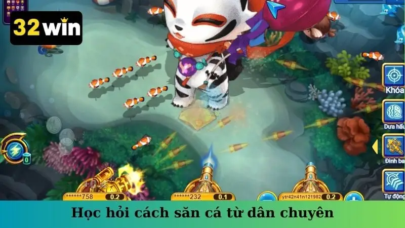 Học hỏi cách săn cá từ dân chuyên