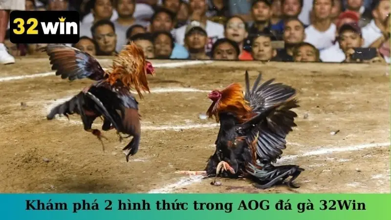 Khám phá 2 hình thức trong AOG đá gà 32Win
