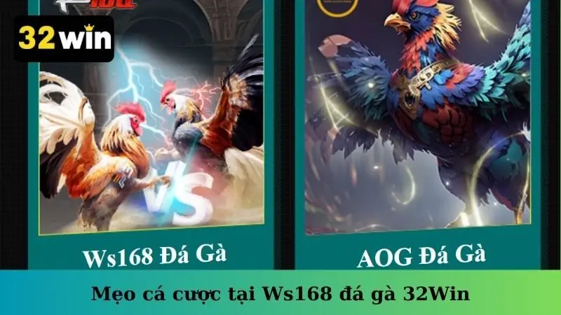 Mẹo cá cược tại Ws168 đá gà 32Win