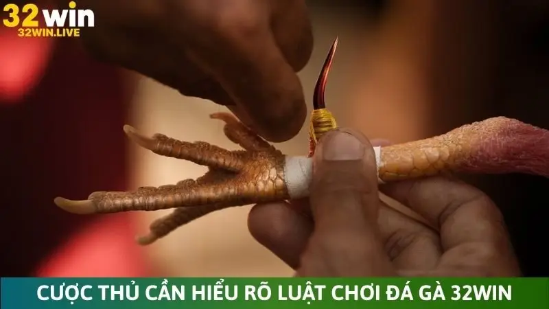 Cược thủ cần hiểu rõ luật chơi đá gà 32Win