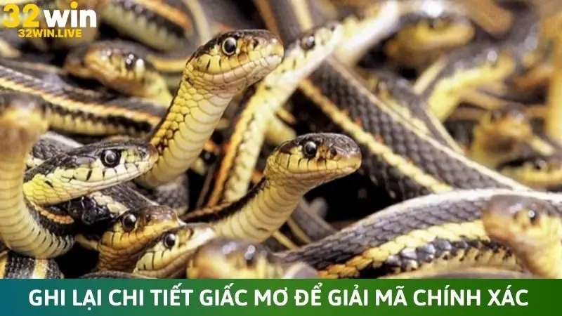 Nên ghi lại chi tiết giấc mơ để giải mã chính xác hơn