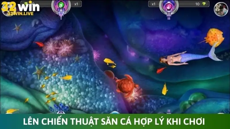 Lên chiến thuật săn cá hợp lý khi chơi