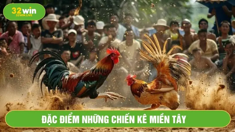 Chiến kê miền Tây có sức mạnh, uy lực, tướng đi oai hùng