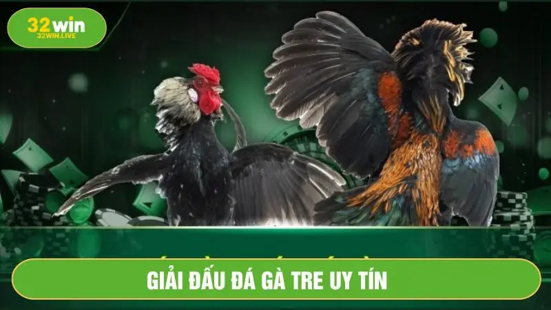 Đá gà Thomo được nhiều người ưa chuộng