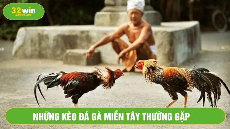 Kèo đá gà miền Tây thắng thua có luật chơi đơn giản