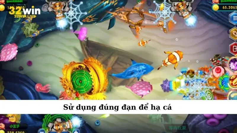 Sử dụng đúng đạn để hạ cá