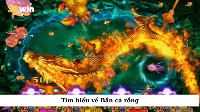 Tìm hiểu về Bắn cá rồng