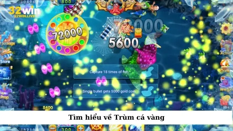 Tìm hiểu về Trùm cá vàng